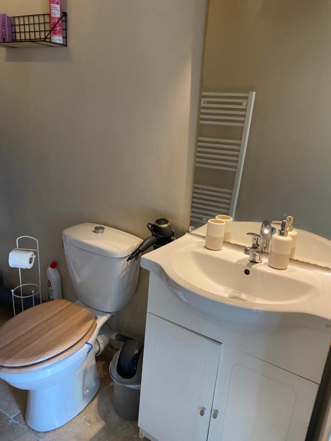 Studio De Charme Le Clos De L'Etang + Place De Parking ลีล-ซูร์-ลา-ซอร์ก ภายนอก รูปภาพ